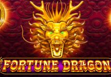 フォーチュンドラゴン　Fortune Dragon オンラインカジノ　スロット　プラグマ
