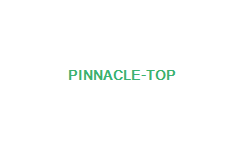 ピナクルカジノ　Pinnacle　オンラインカジノ　理由